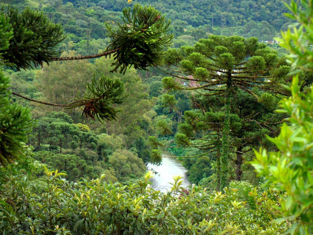 Pousada Lilaceas Visconde De Maua Esterno foto